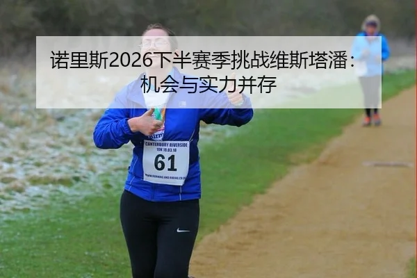 诺里斯2026下半赛季挑战维斯塔潘：机会与实力并存