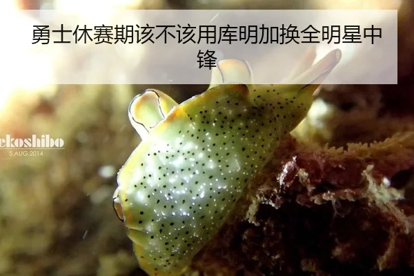 勇士休赛期该不该用库明加换全明星中锋